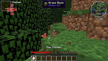 Minecraft play: Maybe immortal chickens in Minecraft or how to get chicken by a hands only